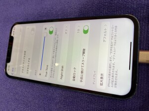 12画面修理